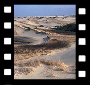 Cape Cod Dunes